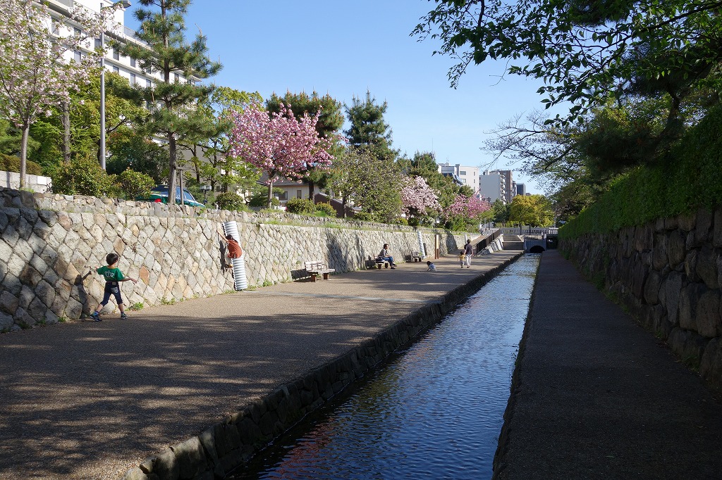 京都　堀川の遊歩道
