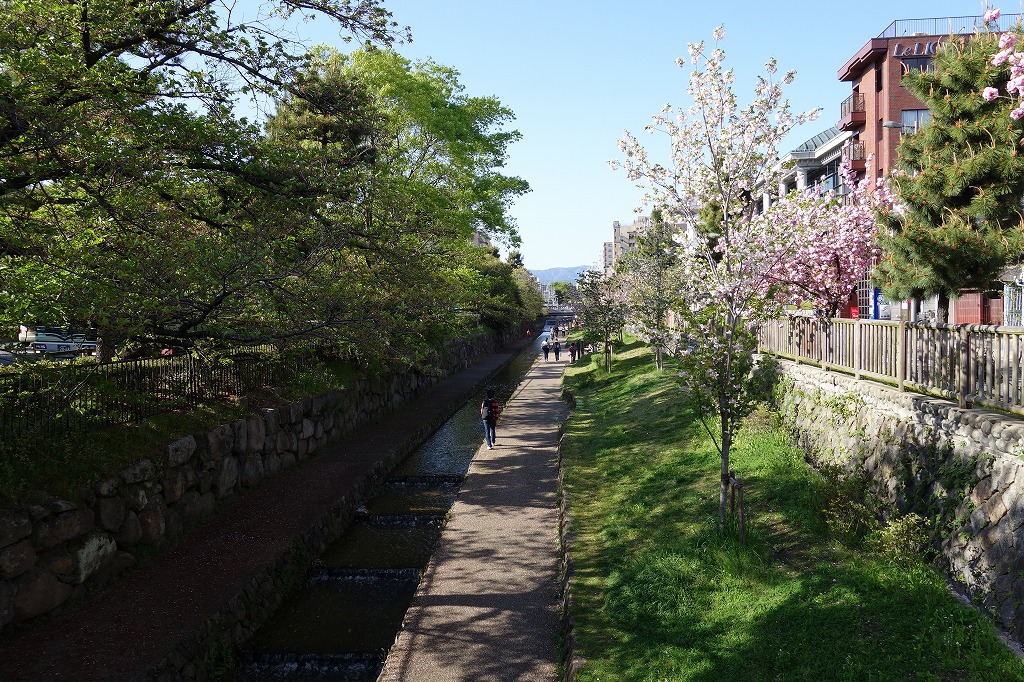 京都　堀川の遊歩道