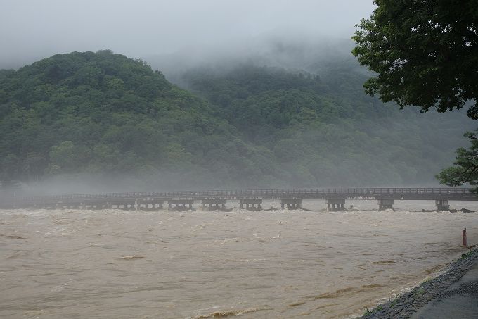 増水した桂川　嵐山渡月橋